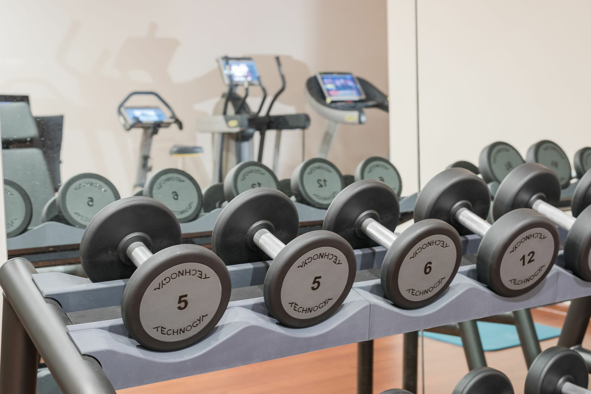 Downtown Ankara Hotel Bagian luar foto Dumbbells